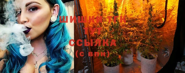 дурь Верея