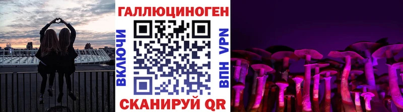 Купить где  Алдан  Галлюциногенные грибы Psilocybine cubensis 