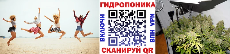 Купить где  Алдан  Марихуана гибрид 
